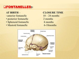 FONTANELLES:-
AT BIRTH – CLOSURE TIME
• anterior fontanelle 18 – 24 months
• posterior fontanelle 2 months
• Sphenoid fontanelle 6 months
• Mastoid fontanelle 6-18months
 