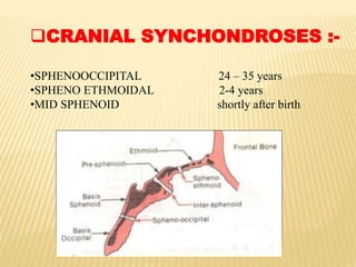 CRANIAL SYNCHONDROSES :-
•SPHENOOCCIPITAL 24 – 35 years
•SPHENO ETHMOIDAL 2-4 years
•MID SPHENOID shortly after birth
 