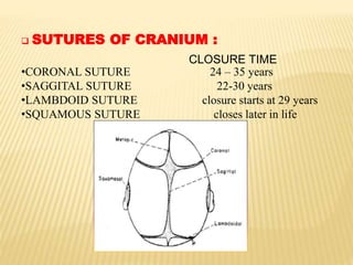  SUTURES OF CRANIUM :
•CORONAL SUTURE 24 – 35 years
•SAGGITAL SUTURE 22-30 years
•LAMBDOID SUTURE closure starts at 29 years
•SQUAMOUS SUTURE closes later in life
CLOSURE TIME
 