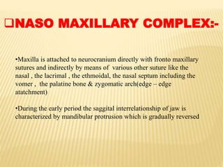 •Maxilla is attached to neurocranium directly with fronto maxillary
sutures and indirectly by means of various other suture like the
nasal , the lacrimal , the ethmoidal, the nasal septum including the
vomer , the palatine bone & zygomatic arch(edge – edge
atatchment)
•During the early period the saggital interrelationship of jaw is
characterized by mandibular protrusion which is gradually reversed
NASO MAXILLARY COMPLEX:-
 