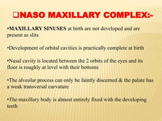 NASO MAXILLARY COMPLEX:-
•MAXILLARY SINUSES at birth are not developed and are
present as slits
•Development of orbital cavities is practically complete at birth
•Nasal cavity is located between the 2 orbits of the eyes and its
floor is roughly at level with their bottoms
•The alveolar process can only be faintly discerned & the palate has
a weak transversal curvature
•The maxillary body is almost entirely fixed with the developing
teeth
 