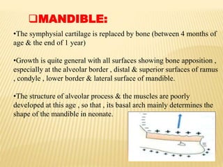 MANDIBLE:
•The symphysial cartilage is replaced by bone (between 4 months of
age & the end of 1 year)
•Growth is quite general with all surfaces showing bone apposition ,
especially at the alveolar border , distal & superior surfaces of ramus
, condyle , lower border & lateral surface of mandible.
•The structure of alveolar process & the muscles are poorly
developed at this age , so that , its basal arch mainly determines the
shape of the mandible in neonate.
 