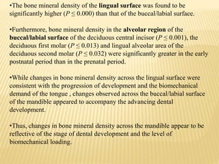 •The bone mineral density of the lingual surface was found to be
significantly higher (P ≤ 0.000) than that of the buccal/labial surface.
•Furthermore, bone mineral density in the alveolar region of the
buccal/labial surface of the deciduous central incisor (P ≤ 0.001), the
deciduous first molar (P ≤ 0.013) and lingual alveolar area of the
deciduous second molar (P ≤ 0.032) were significantly greater in the early
postnatal period than in the prenatal period.
•While changes in bone mineral density across the lingual surface were
consistent with the progression of development and the biomechanical
demand of the tongue , changes observed across the buccal/labial surface
of the mandible appeared to accompany the advancing dental
development.
•Thus, changes in bone mineral density across the mandible appear to be
reflective of the stage of dental development and the level of
biomechanical loading.
 