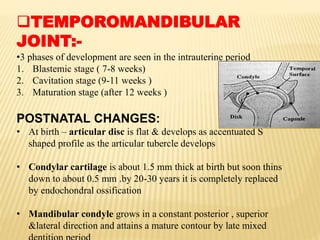 TEMPOROMANDIBULAR
JOINT:-
•3 phases of development are seen in the intrauterine period
1. Blastemic stage ( 7-8 weeks)
2. Cavitation stage (9-11 weeks )
3. Maturation stage (after 12 weeks )
POSTNATAL CHANGES:
• At birth – articular disc is flat & develops as accentuated S
shaped profile as the articular tubercle develops
• Condylar cartilage is about 1.5 mm thick at birth but soon thins
down to about 0.5 mm .by 20-30 years it is completely replaced
by endochondral ossification
• Mandibular condyle grows in a constant posterior , superior
&lateral direction and attains a mature contour by late mixed
 