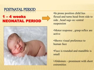POSTNATAL PERIOD
1 – 4 weeks
NEONATAL PERIOD
•In prone position child lies
flexed and turns head from side to
side , head sags on ventral
suspension
•Motor response , grasp reflex are
active
•Shows visual preference to
human face
•Face is rounded and mandible is
small
•Abdomen – prominent with short
extremities
 