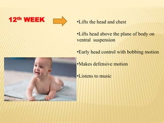 12th WEEK •Lifts the head and chest
•Lifts head above the plane of body on
ventral suspension
•Early head control with bobbing motion
•Makes defensive motion
•Listens to music
 