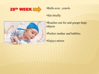 28th WEEK •Rolls over , crawls
•Sits briefly
•Reaches out for and grasps large
objects
•Prefers mother and babbles
•Enjoys mirror
 