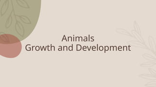 Animals
Growth and Development
 
