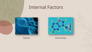 Internal Factors
Genes Hormones
 