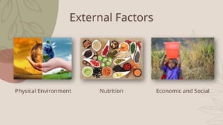 External Factors
Physical Environment Nutrition Economic and Social
 