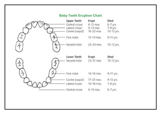 Baby Teeth Eruption Chart
 