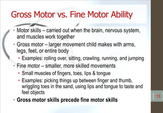 Gross Motor vs. Fine Motor Ability
• Motor skills – carried out when the brain, nervous system,
and muscles work together
• Gross motor – larger movement child makes with arms,
legs, feet, or entire body
• Examples: rolling over, sitting, crawling, running, and jumping
• Fine motor – smaller, more skilled movements
• Small muscles of fingers, toes, lips & tongue
• Examples: picking things up between finger and thumb,
wriggling toes in the sand, using lips and tongue to taste and
feel objects
• Gross motor skills precede fine motor skills
15
 