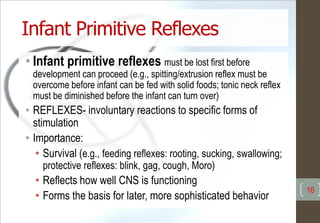 Infant Primitive Reflexes
• Infant primitive reflexes must be lost first before
development can proceed (e.g., spitting/extrusion reflex must be
overcome before infant can be fed with solid foods; tonic neck reflex
must be diminished before the infant can turn over)
• REFLEXES- involuntary reactions to specific forms of
stimulation
• Importance:
• Survival (e.g., feeding reflexes: rooting, sucking, swallowing;
protective reflexes: blink, gag, cough, Moro)
• Reflects how well CNS is functioning
• Forms the basis for later, more sophisticated behavior
16
 