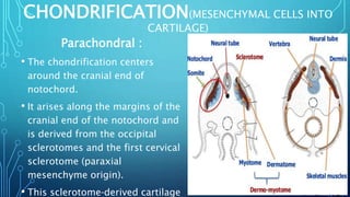 EMBRYOLOGY,GROWTH & DEVELOPMENT OF CRANIUM & CRANIAL BASE IRT ...