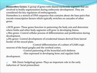 Growthdevelopmentoffaceandoralcavity 091130013540-phpapp02 | PPT