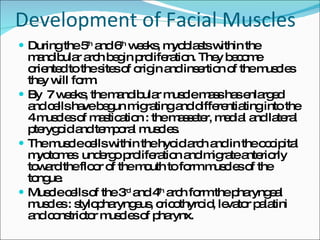 Growth Development Of Face And Oral Cavity | PPT