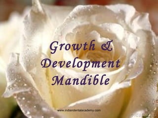 Growth &
Development
Mandible
www.indiandentalacademy.com
 
