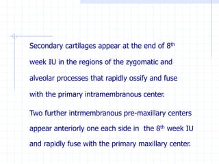 Secondary cartilages appear at the end of 8th
week IU in the regions of the zygomatic and
alveolar processes that rapidly ossify and fuse
with the primary intramembranous center.
Two further intrmembranous pre-maxillary centers
appear anteriorly one each side in the 8th week IU
and rapidly fuse with the primary maxillary center.
 