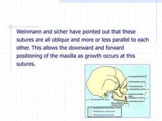 Weinmann and sicher have pointed out that these
sutures are all oblique and more or less parallel to each
other. This allows the downward and forward
positioning of the maxilla as growth occurs at this
sutures.
 