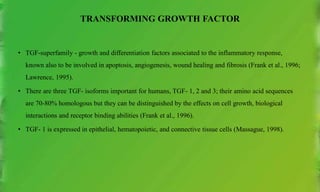TRANSFORMING GROWTH FACTOR
• TGF-superfamily - growth and differentiation factors associated to the inflammatory response,
known also to be involved in apoptosis, angiogenesis, wound healing and fibrosis (Frank et al., 1996;
Lawrence, 1995).
• There are three TGF- isoforms important for humans, TGF- 1, 2 and 3; their amino acid sequences
are 70-80% homologous but they can be distinguished by the effects on cell growth, biological
interactions and receptor binding abilities (Frank et al., 1996).
• TGF- 1 is expressed in epithelial, hematopoietic, and connective tissue cells (Massague, 1998).
 