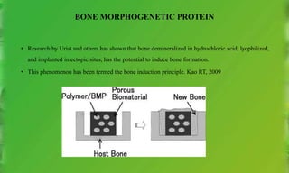 BONE MORPHOGENETIC PROTEIN
• Research by Urist and others has shown that bone demineralized in hydrochloric acid, lyophilized,
and implanted in ectopic sites, has the potential to induce bone formation.
• This phenomenon has been termed the bone induction principle. Kao RT, 2009
 