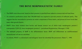 THE BONE MORPHOGENETIC FAMILY
• The BMPs were discovered based on their presence in purified bone inductive extracts derived from bone.
• An extensive purification (more than 300,000-fold) was required to provide protein of sufficient purity. This
suggests that the osteoinductive proteins are minor components of bone matrix, and present at lower levels than
many other growth factors.
• BMP”s have been isolated from bovine and human sources out of which bone morphogenic protein-2
(osteopontin-2 [OP-2]), bone morphogenic protein-3 - periodontal Regeneration. Massagué J 1998
• The hallmark property of BMP is the differentiation factor. BMP will differentiate an undifferentiated
mesenchymal cell into an osteoblast.
• In contrast, PDGF is a chemotactic and mitogenic factor for osteoblast like precursors. Okano T, 1990
 