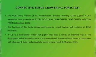 CONNECTIVE TISSUE GROWTH FACTOR (CTGF)
• The CCN family consists of six multifunctional members including CCN1 (Cyr61), CCN2
(connective tissue growth factor, CTGF), CCN3 (Nov), CCN4 (WISP1), CCN5 (WISP2), and CCN6
(WISP3) (Brigstock, 2003).
• The functions of this family include embryogenesis, wound healing, and regulation of ECM
production.
• CTGF is a matricellular cysteine-rich peptide that plays a variety of important roles in cell
development and differentiation and acts to promote fibrosis in many different tissues in cooperation
with other growth factors and extracellular matrix proteins (Leask & Abraham, 2003).
 