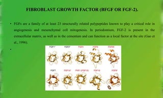 FIBROBLAST GROWTH FACTOR (BFGF OR FGF-2).
• FGFs are a family of at least 23 structurally related polypeptides known to play a critical role in
angiogenesis and mesenchymal cell mitogenesis. In periodontium, FGF-2 is present in the
extracellular matrix, as well as in the cementum and can function as a local factor at the site (Gao et
al., 1996).
•
 