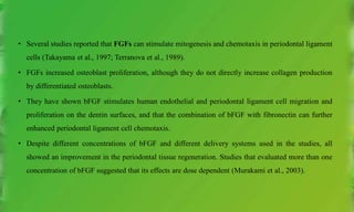 • Several studies reported that FGFs can stimulate mitogenesis and chemotaxis in periodontal ligament
cells (Takayama et al., 1997; Terranova et al., 1989).
• FGFs increased osteoblast proliferation, although they do not directly increase collagen production
by differentiated osteoblasts.
• They have shown bFGF stimulates human endothelial and periodontal ligament cell migration and
proliferation on the dentin surfaces, and that the combination of bFGF with fibronectin can further
enhanced periodontal ligament cell chemotaxis.
• Despite different concentrations of bFGF and different delivery systems used in the studies, all
showed an improvement in the periodontal tissue regeneration. Studies that evaluated more than one
concentration of bFGF suggested that its effects are dose dependent (Murakami et al., 2003).
 