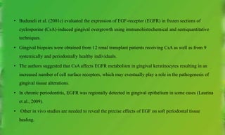 • Buduneli et al. (2001c) evaluated the expression of EGF-receptor (EGFR) in frozen sections of
cyclosporine (CsA)-induced gingival overgrowth using immunohistochemical and semiquantitative
techniques.
• Gingival biopsies were obtained from 12 renal transplant patients receiving CsA as well as from 9
systemically and periodontally healthy individuals.
• The authors suggested that CsA affects EGFR metabolism in gingival keratinocytes resulting in an
increased number of cell surface receptors, which may eventually play a role in the pathogenesis of
gingival tissue alterations.
• In chronic periodontitis, EGFR was regionally detected in gingival epithelium in some cases (Laurina
et al., 2009).
• Other in vivo studies are needed to reveal the precise effects of EGF on soft periodontal tissue
healing.
 