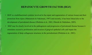 HEPATOCYTE GROWTH FACTOR (HGF)
• HGF is a multifunctional cytokine involved in the repair and regeneration of various tissues and their
protection from injury (Matsumoto & Nakamura, 1997) and recently, it has been linked also to the
development of periodontal disease (Ohshima et al., 2001; Ohnishi & Daikuhara, 2003).
• HGF may be closely involved in the pathogenesis and progression of periodontal disease because it
stimulates excessive proliferation and invasion of gingival epithelial cells and impair the
regeneration of deep collagenous structures in the periodontium (Ohshima et al., 2001).
 