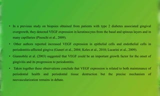• In a previous study on biopsies obtained from patients with type 2 diabetes associated gingival
overgrowth, they detected VEGF expression in keratinocytes from the basal and spinous layers and in
many capillaries (Pisoschi et al., 2009).
• Other authors reported increased VEGF expression in epithelial cells and endothelial cells in
periodontitis-affected gingiva (Guneri et al., 2004; Keles et al., 2010; Lucarini et al., 2009).
• Giannobile et al. (2003) suggested that VEGF could be an important growth factor for the onset of
gingivitis and its progression to periodontitis.
• Taken together these observations conclude that VEGF expression is related to both maintenance of
periodontal health and periodontal tissue destruction but the precise mechanism of
neovascularization remains in debate.
 