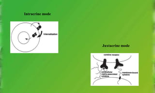 Intracrine mode
Juxtacrine mode
 