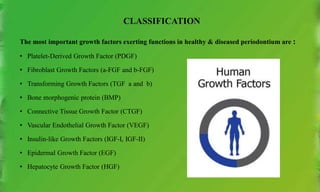 CLASSIFICATION
The most important growth factors exerting functions in healthy & diseased periodontium are :
• Platelet-Derived Growth Factor (PDGF)
• Fibroblast Growth Factors (a-FGF and b-FGF)
• Transforming Growth Factors (TGF a and b)
• Bone morphogenic protein (BMP)
• Connective Tissue Growth Factor (CTGF)
• Vascular Endothelial Growth Factor (VEGF)
• Insulin-like Growth Factors (IGF-I, IGF-II)
• Epidermal Growth Factor (EGF)
• Hepatocyte Growth Factor (HGF)
 