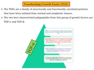 A closer look at 11 And Transforming Growth Factor Tgf