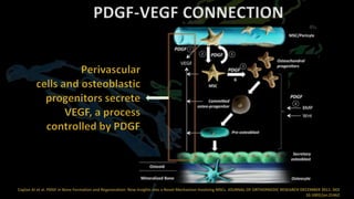 PDGF-VEGF CONNECTION
 
