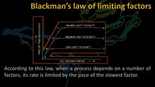 According to this law, when a process depends on a number of
factors, its rate is limited by the pace of the slowest factor.
 