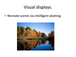 Visual displays.
• Recreate scenes via intelligent planting.
 