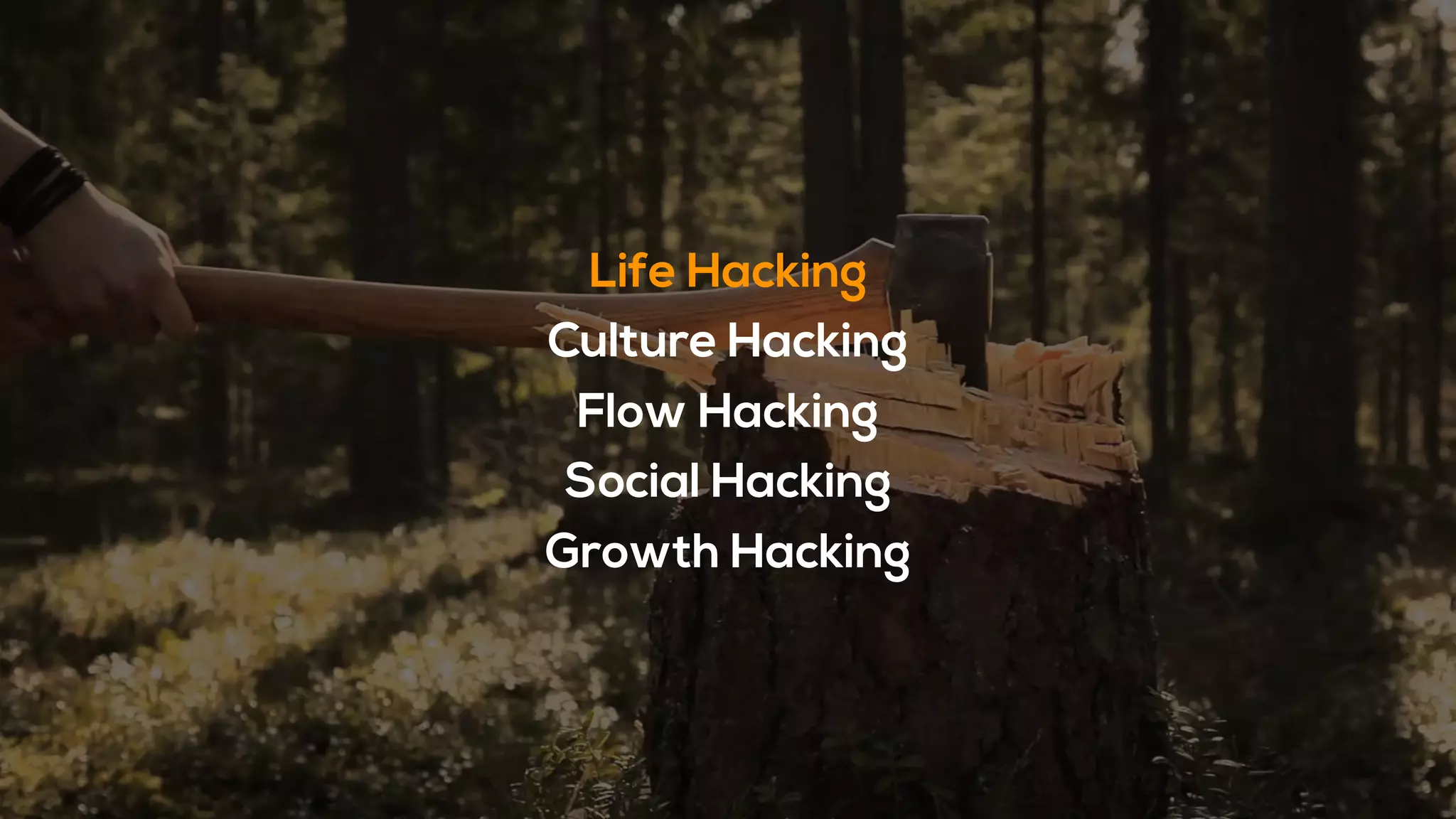 Life Hacking
Culture Hacking
Flow Hacking
Social Hacking
Growth Hacking
 