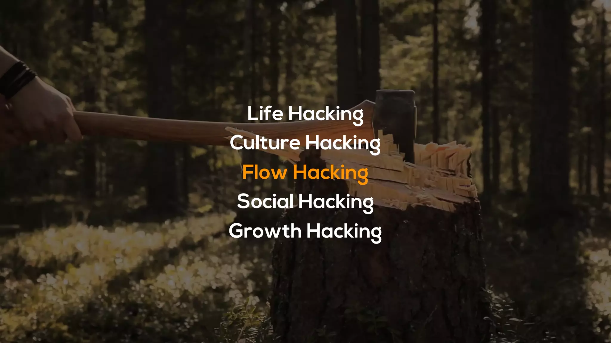 Life Hacking
Culture Hacking
Flow Hacking
Social Hacking
Growth Hacking
 