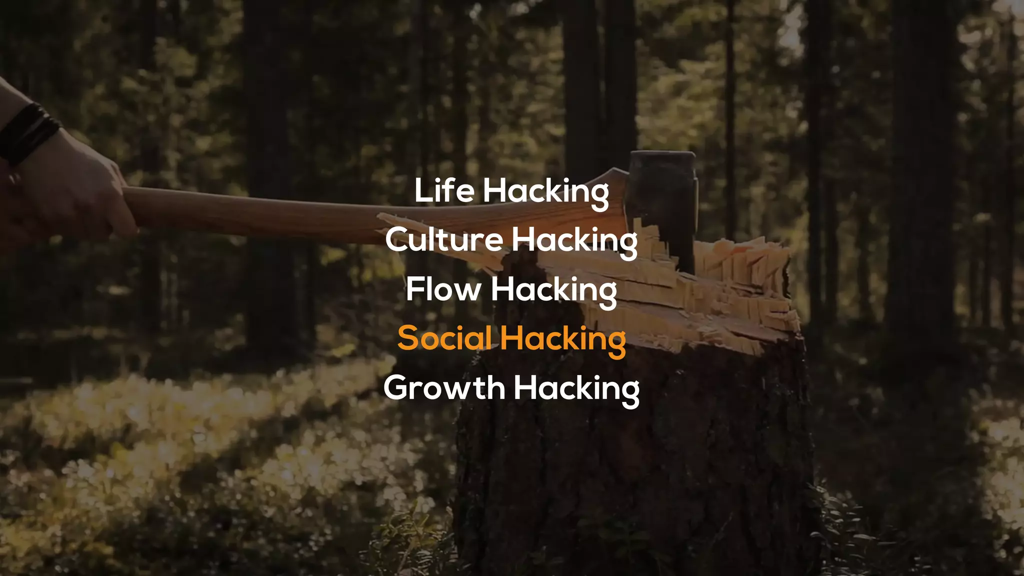 Life Hacking
Culture Hacking
Flow Hacking
Social Hacking
Growth Hacking
 