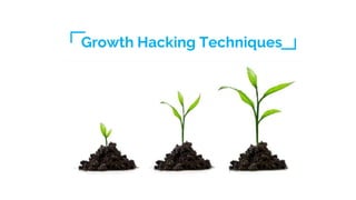 Growth Hacking Techniques
 