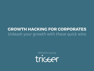 Growth Hacking for Corporates (www.wepullthetrigger.com)
