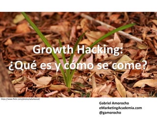 Growth Hacking:
¿Qué es y cómo se come?
Gabriel Amorocho
eMarketingAcademia.com
@gamorocho
https://www.flickr.com/photos/adselwood/
 