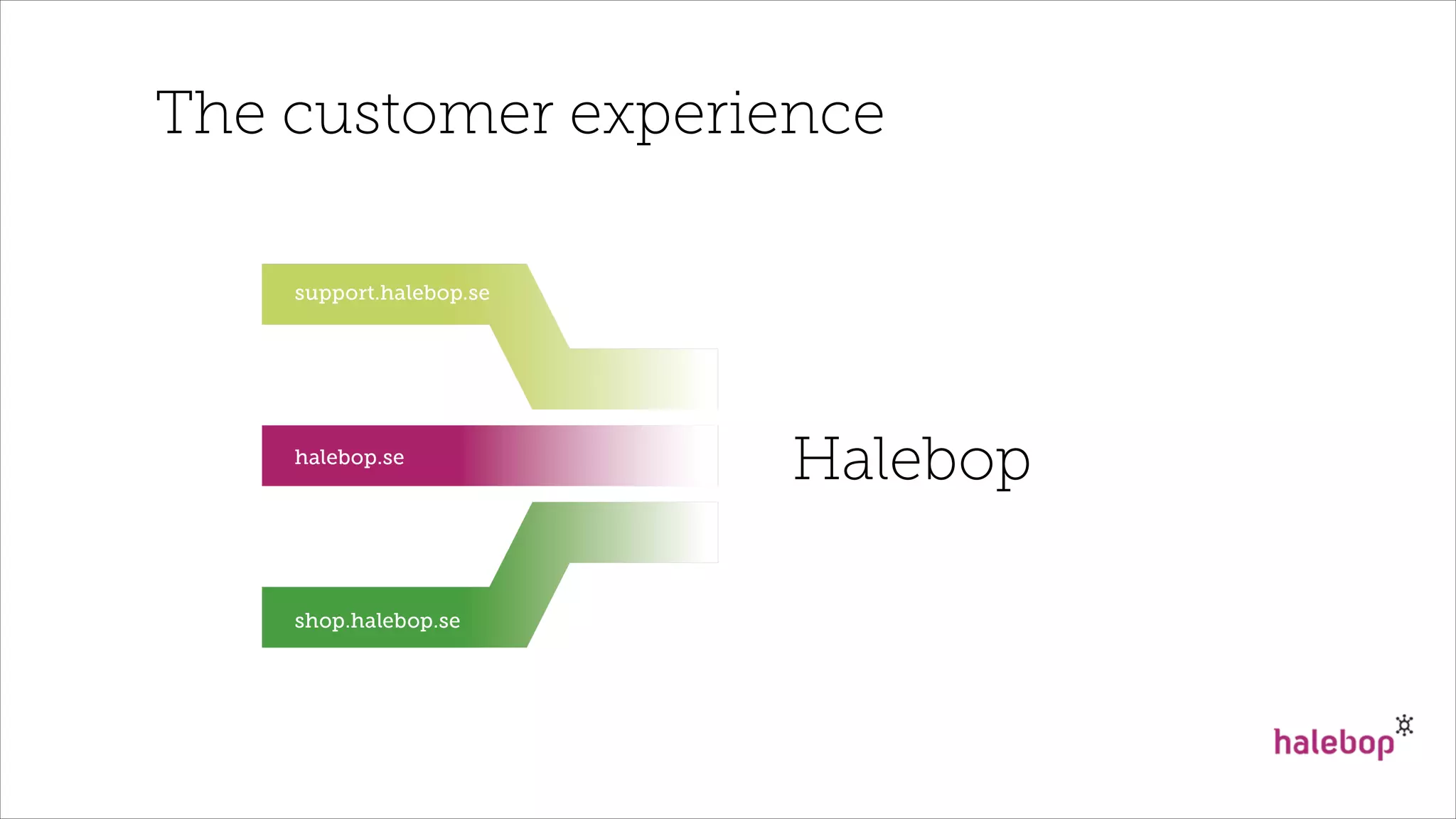 The customer experience
Halebop
 