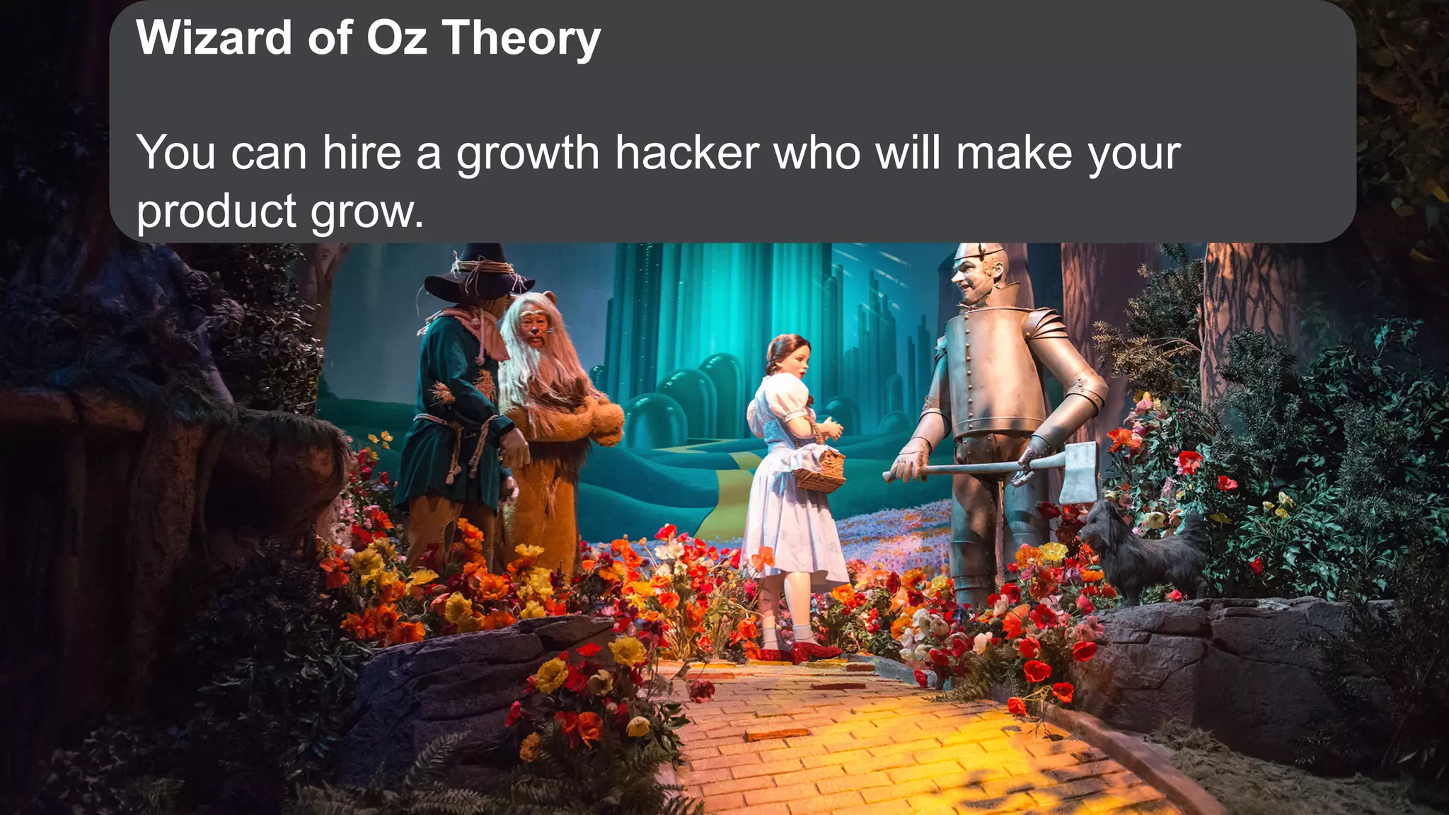 Wizard of Oz Theory
You can hire a growth hacker who will make your
product grow.
 
