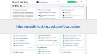 https://growth-hacking.zeef.com/luca.barboni