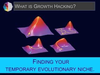 Growth Hack Your Meme