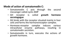 Mode of action of somatomedin C:
– Somatomedin C acts through the second
messenger called cyclic AMP
– GH receptor is called growth hormone
secretagogue
– GH binds with the receptor situated mainly in liver
cells and forms the hormonereceptor complex.
– Hormone-receptor complex induces various
intracellular enzyme pathways, resulting in
somatomedin secretion.
– Somatomedin in turn, executes the actions of
growth hormone.
 
