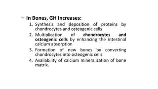 – In Bones, GH Increases:
1. Synthesis and deposition of proteins by
chondrocytes and osteogenic cells
2. Multiplication of chondrocytes and
osteogenic cells by enhancing the intestinal
calcium absorption
3. Formation of new bones by converting
chondrocytes into osteogenic cells
4. Availability of calcium mineralization of bone
matrix.
 